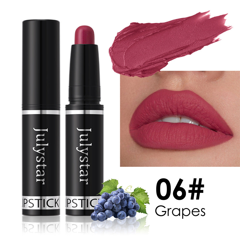 Matte Finish Lipstick