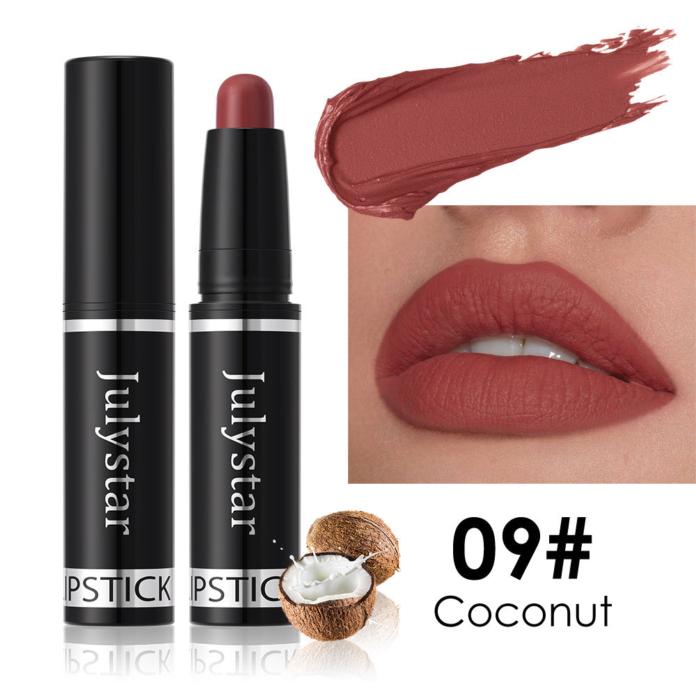 Matte Finish Lipstick