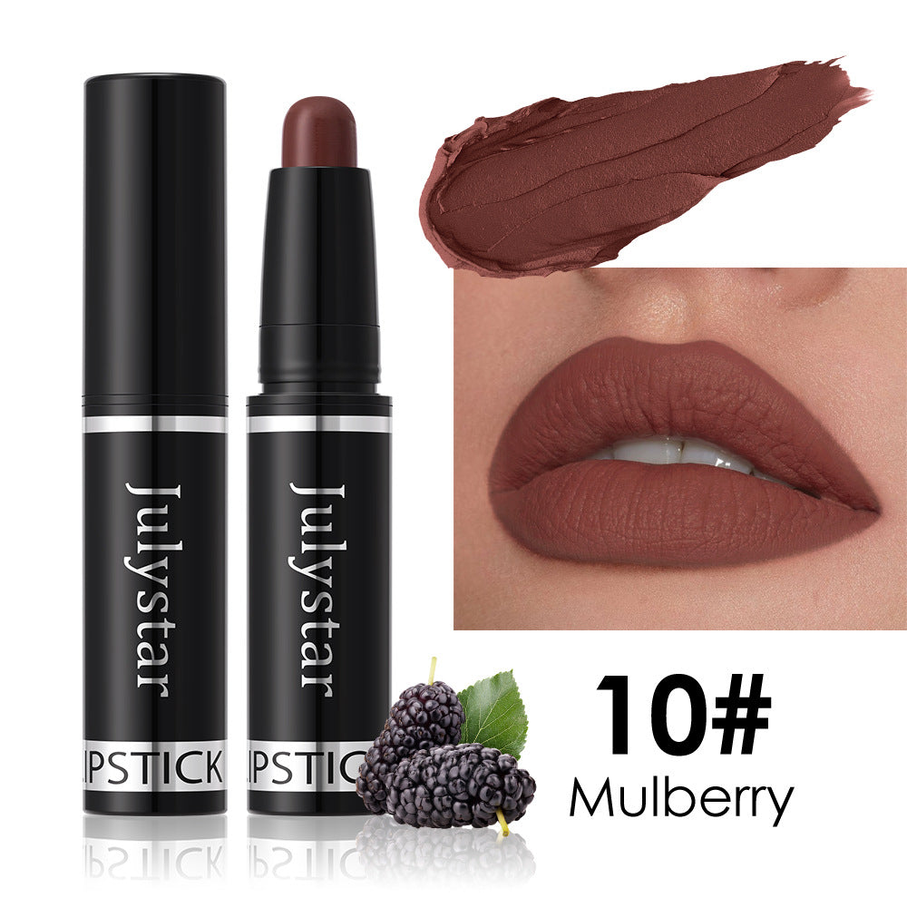 Matte Finish Lipstick