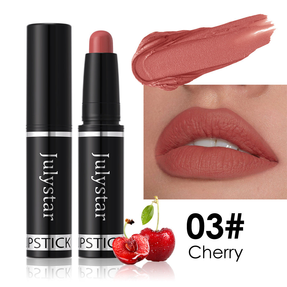 Matte Finish Lipstick