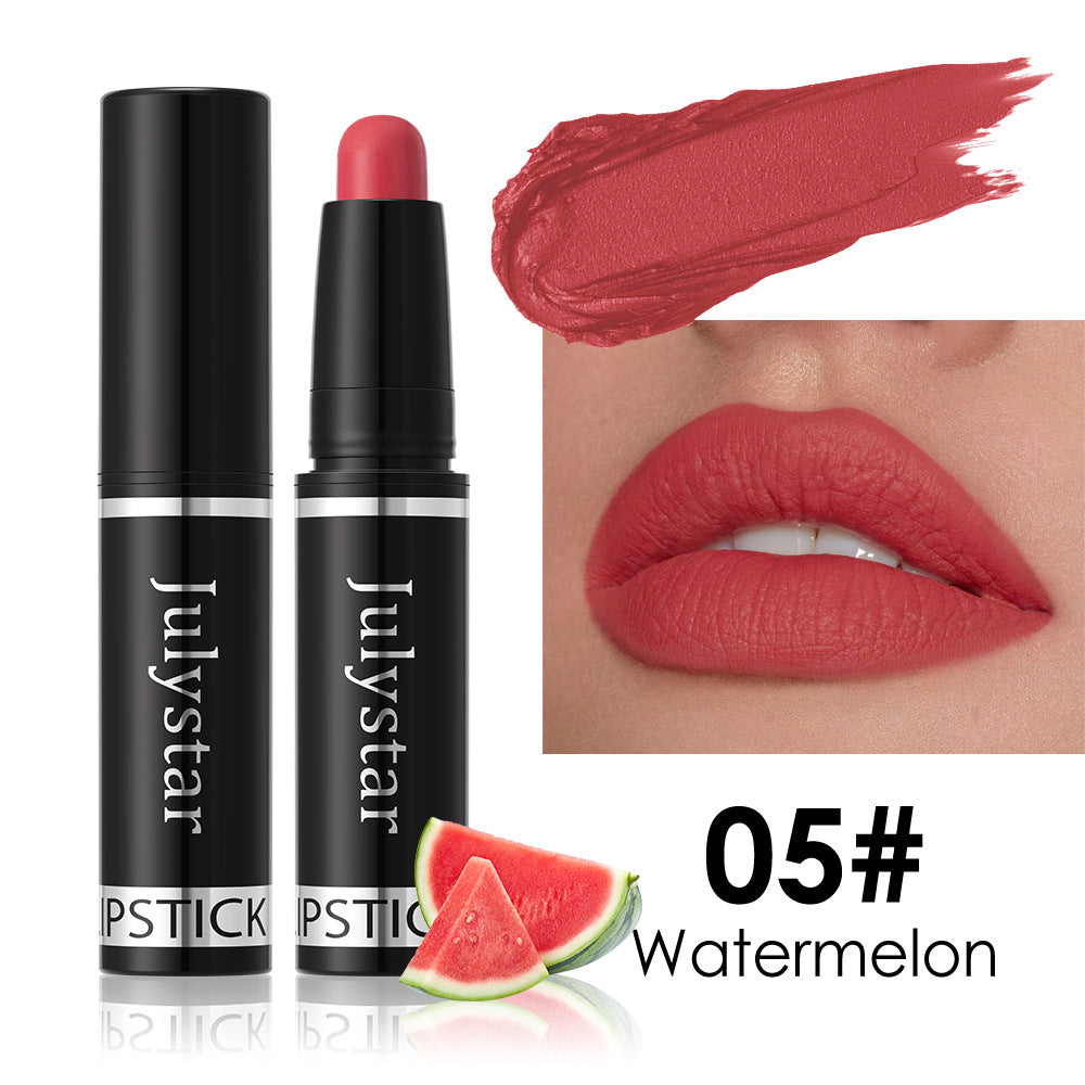 Matte Finish Lipstick