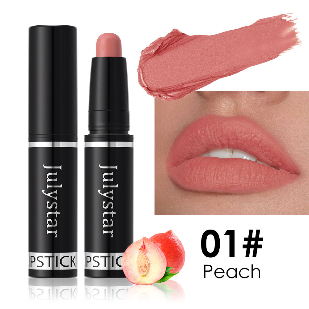 Matte Finish Lipstick